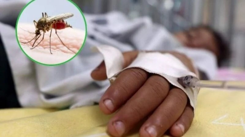 Aumenta la mortalidad por dengue en Misiones: ya son 7 las víctimas fatales